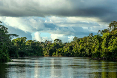 Tribunal nega recurso do MP e mantém extinção do Parque Estadual Cristalino II