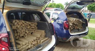 Em operação, polícia encontra carregamento de drogas enterrado em chiqueiro 